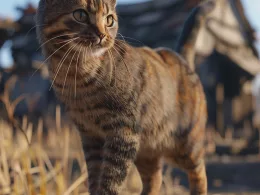 Chat tigré se promenant en extérieur.